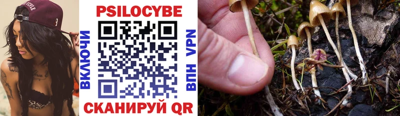 Галлюциногенные грибы Magic Shrooms  Купить  Полярный 